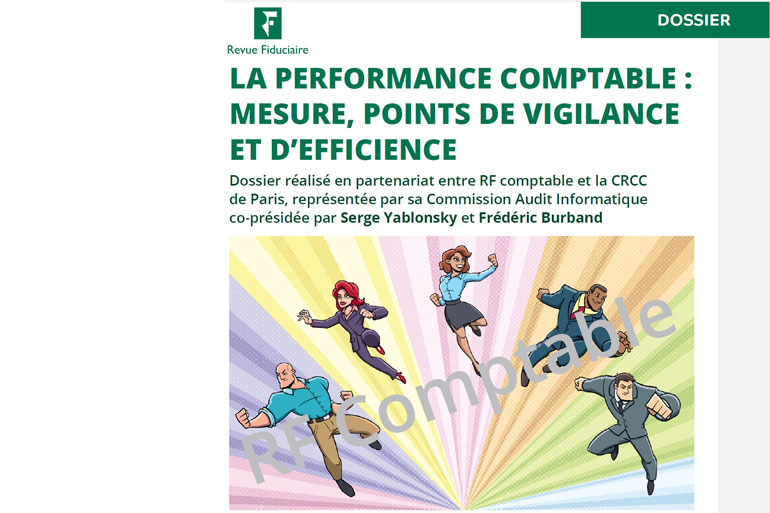 La performance comptable : Mesure, Points de vigilance et d'efficience